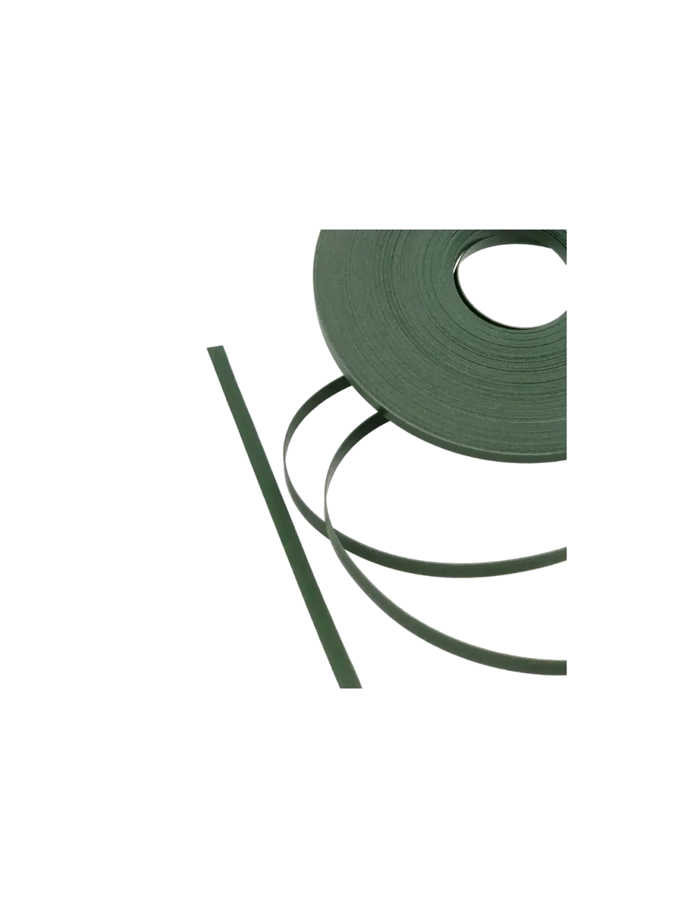 Close-up of 6mm PP Strap *Dark Pine Green* - Texture and Pearl Luster Finish | store.alaudae.jp