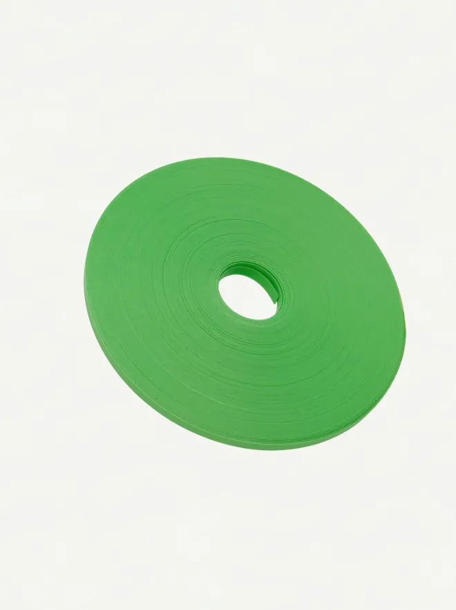 Fortuna Pearl Mint Green 6mm | Cut Surface-001 | PP Band for Crafting | Alaudae Japan